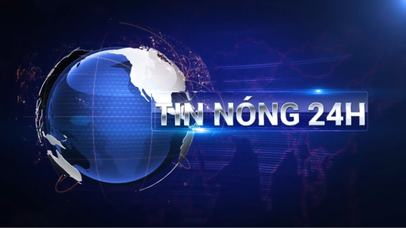 Tin nóng 24h ngày 18/05/2024 - Bình Thuận: Bắt đối tượng cưa trộm hơn một nghìn cây keo lá tràm tại Thị xã La Gi