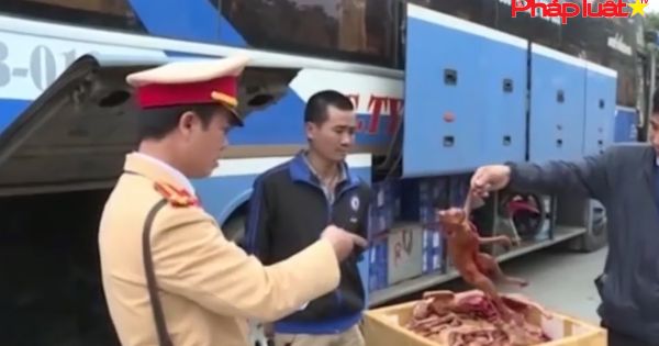 Công an Ninh Bình bắt xe vận chuyển thịt mèo đã bốc mùi hôi