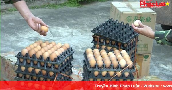 Quảng Ninh tiêu hủy 6.000 quả trứng gà nhập lậu
