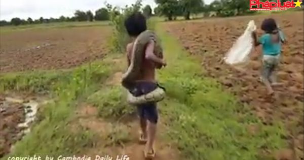Trẻ em vung nông thôn săn rắn