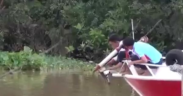 Bơi qua sông về nhà, 2 anh em chết đuối