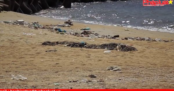 Nhếch nhác rác thải tại bãi biển du lịch Đề Gi