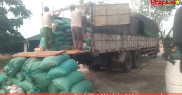 Thanh Hoá: Bắt xe vận chuyển gỗ trái phép