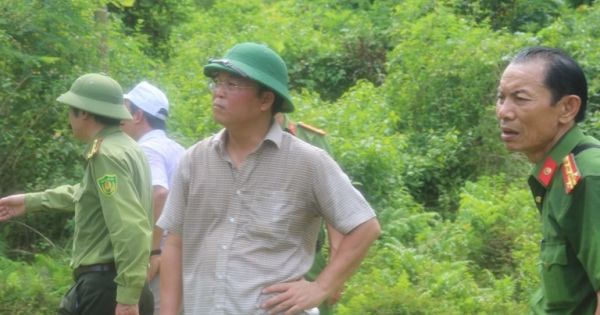 Quảng Nam: Khởi tố vụ án phá rừng phòng hộ Tiên Lãnh