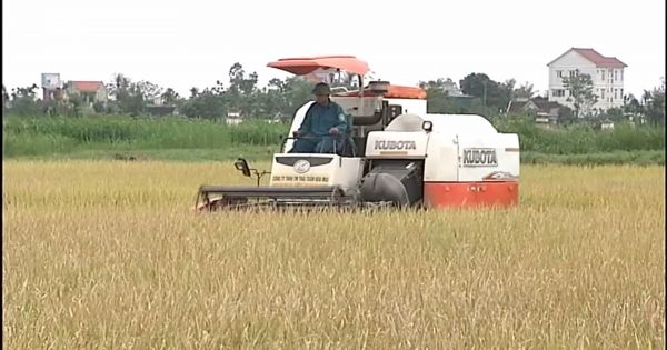 Nghệ An: Triệt xóa ổ nhóm chuyên “bảo kê” máy gặt lúa
