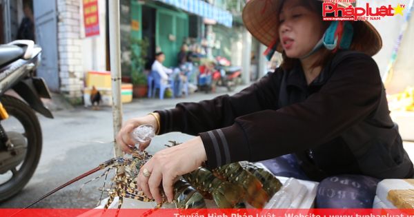 Người miền Trung mang tôm hùm vào TP HCM bán rẻ sau bão số 12