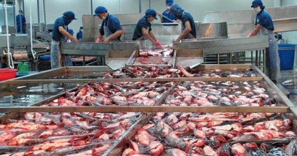 Điểm báo 10/11/2017: Hải sản Việt có nguy cơ bị cấm xuất khẩu sang EU