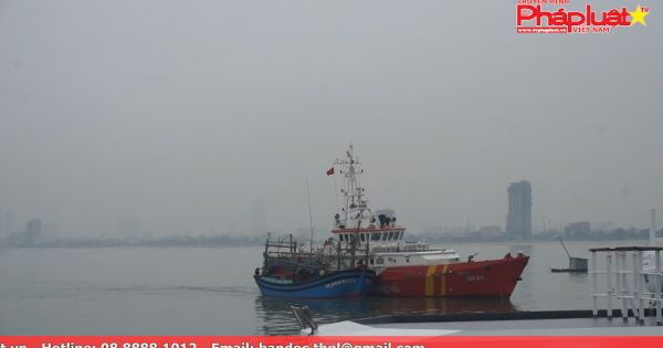 Đà Nẵng: Đưa 7 thuyền viên gặp nạn trên biển vào bờ an toàn