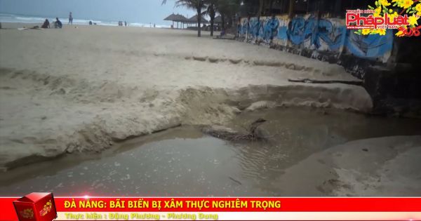 Đà Nẵng: Bãi biển bị xâm thực nghiêm trọng