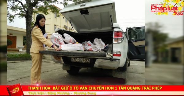 Thanh Hóa: Bắt giữ ô tô vận chuyển hơn 1 tấn quặng trái phép
