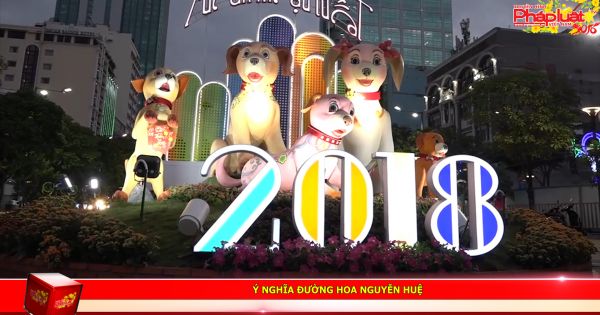 Bản tin tổng hợp đặc biệt Xuân Mậu Tuất 2018 ngày 28 Tết: Không khí Thành Phố Hồ Chí Minh trước thềm năm mới Mậu Tuất 2018