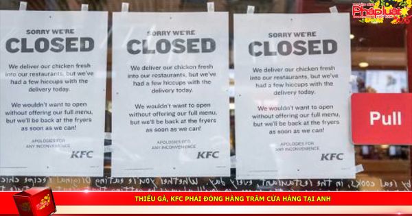 Thiếu gà, KFC phải đóng hàng trăm cửa hàng tại Anh
