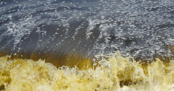 Đà Nẵng: Nước biển chuyển màu đen có nhiều bọt vàng