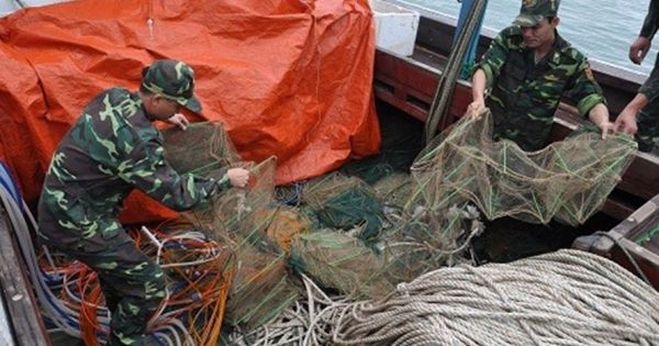 Quảng Ninh: Bắt giữ tàu cá dùng “lồng bát quái” đánh bắt cá