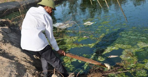 Hà Tĩnh: Trại tôm xả nước thải thẳng ra môi trường