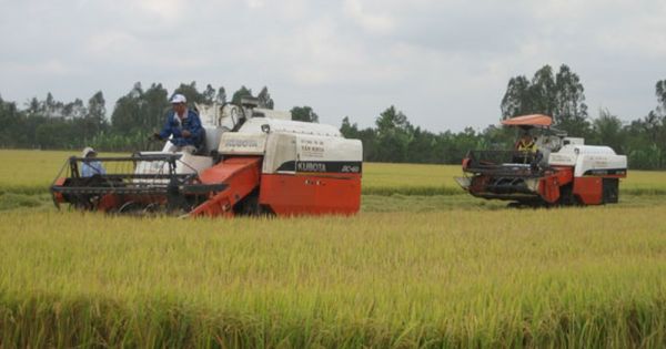 Bắt 2 nghi phạm ép các chủ máy gặt lúa thuê nộp “lệ phí”