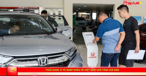 Thuế giảm, ô tô nhập khẩu về Việt Nam vẫn tăng giá bán