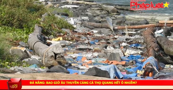 Đà Nẵng: Bao giờ âu thuyền Cảng cá Thọ Quang hết ô nhiễm?