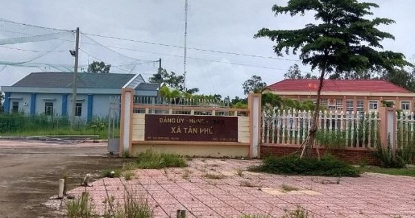 Cà Mau: 4 cán bộ xã Tân Phú sai phạm