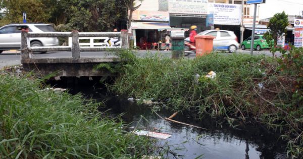 Cà Mau: 4 Doanh nghiệp chế biến thủy sản bị phạt vì xả thải ra môi trường