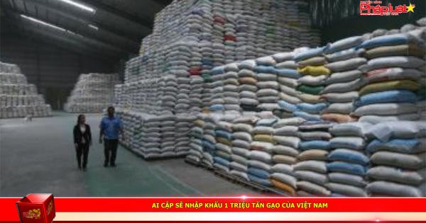 Ai Cập sẽ nhập khẩu 1 triệu tấn gạo của Việt Nam