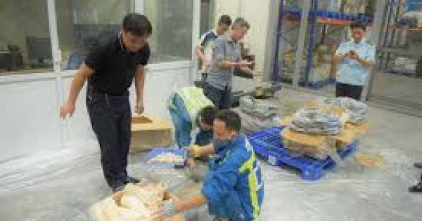 Bắt giữ gần 1 tấn ngà voi, vẩy tê tê tại sân bay Nội Bài