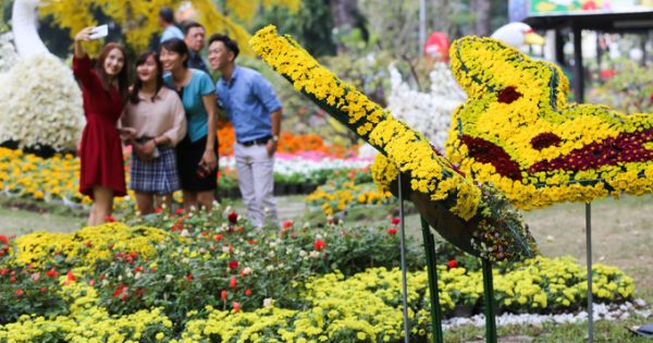 Hội hoa Xuân Tao Đàn quy tụ nhiều kỳ hoa dị thảo đón khách tham quan
