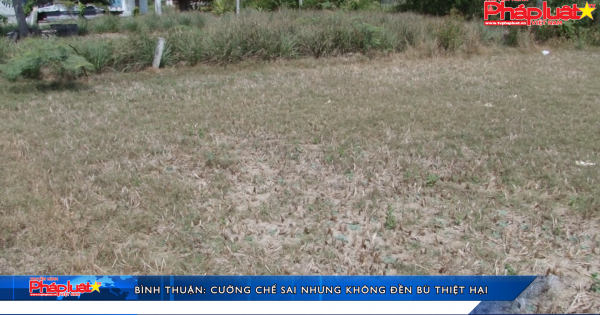 Bình Thuận: Cưỡng chế đất nhưng không đền bù thiệt hại cho dân