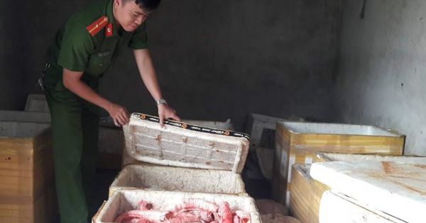 Đà Nẵng: Hãi hùng phát hiện gần 300 kg nội tạng bẩn sắp lên bàn nhậu