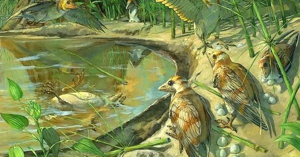 Phát hiện trứng hóa thạch trong xác chim tiền sử 110 triệu năm tuổi