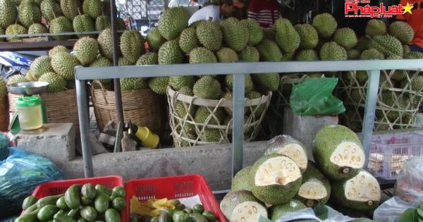 Vụ tranh chấp ở chợ Hàng Bông Phú Hòa: Tiểu thương tố Ban quản lý dùng “đồ ngành” đe dọa