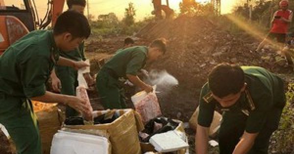 Đà Nẵng: Tiêu hủy 1 tấn sụn gà thối, vô chủ vứt bên đường