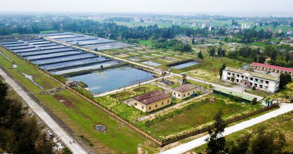 Hà Tĩnh: Trung tâm thực nghiệm nghìn tỷ bỏ hoang, doanh nghiệp thuê nuôi tôm