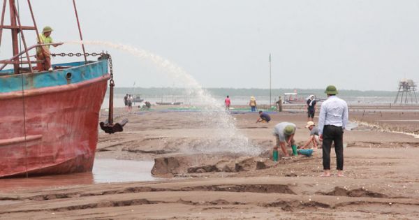 Tỉnh Thái Bình cấp phép khai thác cát cho doanh nghiệp ở cửa biển Hải Phòng?