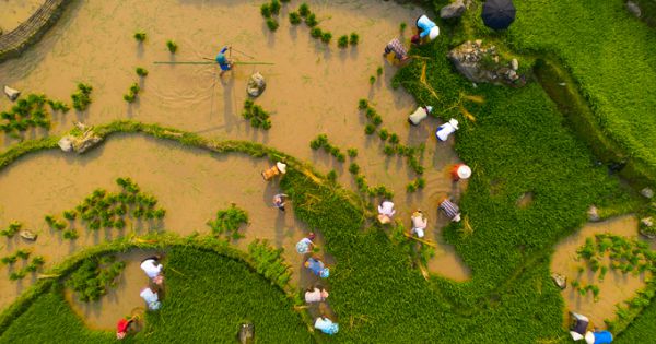 Mùa nước đổ đẹp như tranh vẽ ở Lào Cai