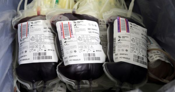 Đột phá y học: Chuyển được các nhóm máu về nhóm máu O