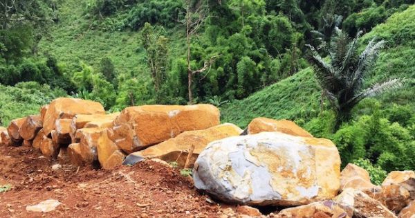 Đắk Nông: Làm rõ việc khai thác đá trái phép tại khu đất rừng do Trung đoàn 726 quản lý