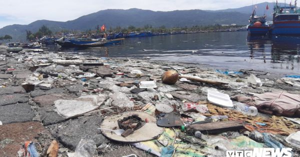 Âu thuyền, cảng cá Thọ Quang tiếp tục ô nhiễm khủng khiếp