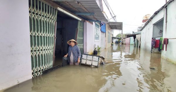 Phú Quốc: Hơn 1.000m bờ biển bị sạt lở nghiêm trọng