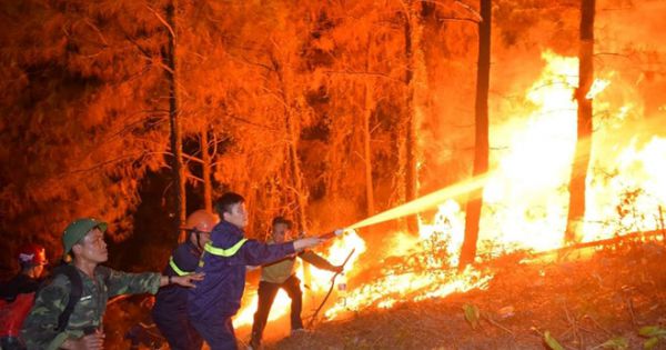 Người phụ nữ đốt cỏ gây cháy rừng ở Hà Tĩnh lãnh 2 năm tù