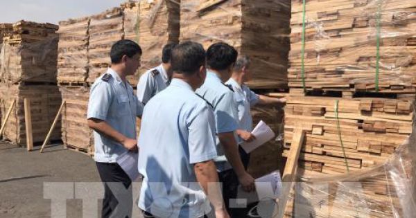 Cơ quan hải quan khởi tố doanh nghiệp buôn lậu 25 container gỗ, trốn thuế gần 3 tỷ đồng