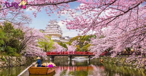 Du lịch Nhật Bản với chiến dịch “Your Japan 2020”