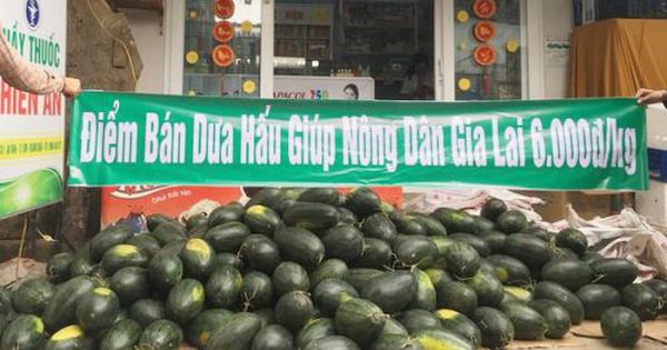 Đại sứ quán Hàn Quốc về việc chung tay giải cứu nông sản Việt