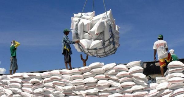 Hơn 56.000 tấn gạo trong hạn ngạch tháng 4 được xuất khẩu
