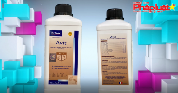 Cần làm rõ “chất lượng thực” sản phẩm AVIT của Công ty Virbac Việt Nam