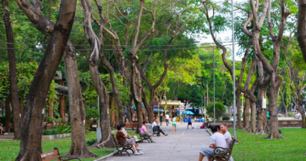 Sài Gòn thiếu công viên trầm trọng