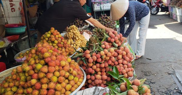 Dịp Tết Đoan Ngọ 2020, Bến Tre sẽ khan hiếm trái cây đặc sản do hạn mặn
