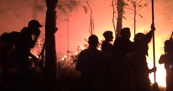 Nghệ An: Hơn 2.000 người băng rừng chữa cháy