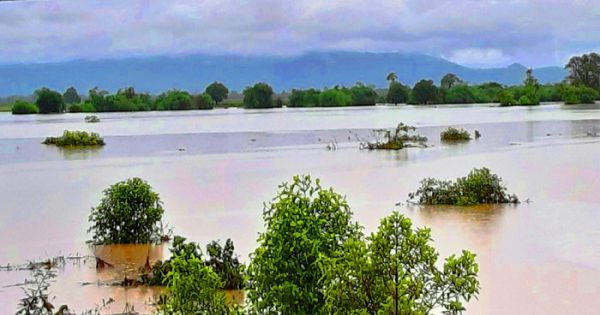 Vùng biên Đắk Lắk ngập lụt, hơn 51 tỷ đồng trôi theo nước