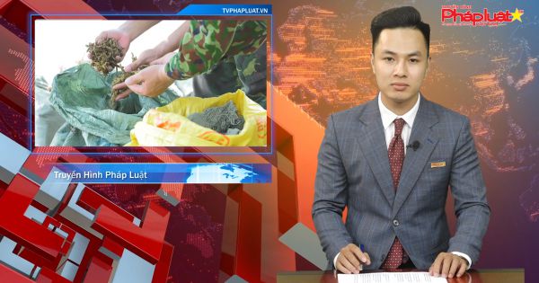 Lạng Sơn bắt giữ gần 1,5 tấn thuốc bắc nhập lậu